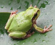 marunimikazuki's profile picture. まるにみかづきです。 Beatles、Wings、PaulMcCartneyが好きですが、LongLongLong布教活動しているロングロングロングおじさんです。旅行好きですが、ケータイ国盗合戦やりはじめてから位置登録ゲーム中心に旅行が計画されてます。