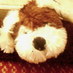 Dougal D'Arcy (@MrDarcyDog) Twitter profile photo