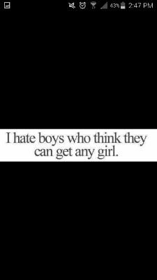 ihashamster's profile picture. 