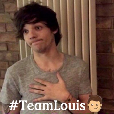 I'll make this feel like home @Louis_Tomlinson || If I could fly, I'd be coming right back home to you. @Harry_Styles