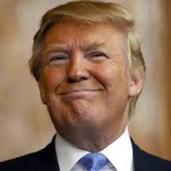 Graduate Student Project concerning finding accurate facts depicting the life of Donald Trump.