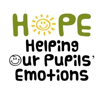 HopeProject aims to support school pastoral staff in Staffordshire, UK to meet the mental and emotional health of its' pupils