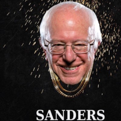 votesanders2day's profile picture. just know young metro don't trust trump. if you voting for trump and not BERNIE you a straight fool! when I see trump imma hit him with an RKO!!