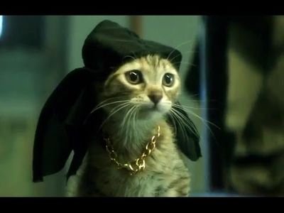 rpglucas's profile picture. Quando eu descobrir eu te falo