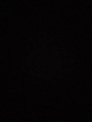 laura98soloel's profile picture. 