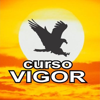 Curso Vigor