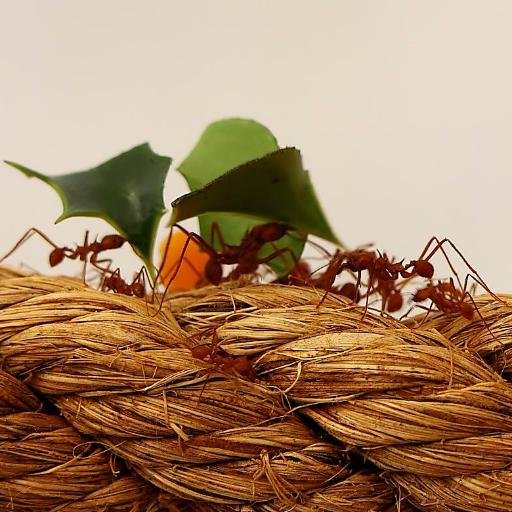 We are a #forum on all things #green & #sustainable & #Blog on news in #innovation & #distruptivetech & #investments as a crowd we plant the seeds of our future