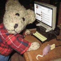 Jed ⚓ (@jedbramwell) 's Twitter Profile