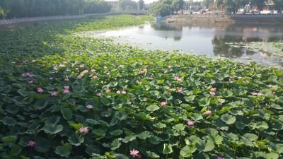 Destini0129's profile picture. From the river to the sea❤️🇵🇸