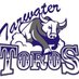 Tarwater Toros (@tarwater_toros) Twitter profile photo Tarwater Toros (@tarwater_toros) Twitter profile photo