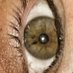 FalenaMortifera (@falenamortifera) Twitter profile photo FalenaMortifera (@falenamortifera) Twitter profile photo