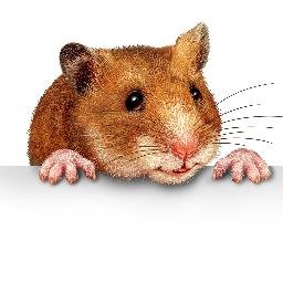 Pets_ASSURED's profile picture. Pet sitting business (dog walking also) in the Latrobe Valley