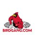 BIRDGANG (@Birdgang) Twitter profile photo