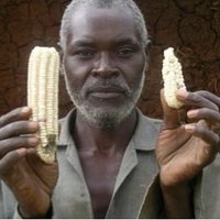 TheToothpickProject (@strigatoothpick) 's Twitter Profile Photo TheToothpickProject (@strigatoothpick) 's Twitter Profile Photo