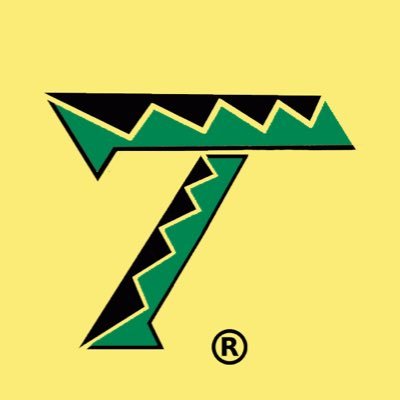 TheTribeCampaig's profile picture. 