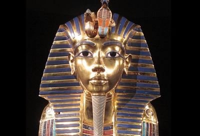 FilmWorldX's profile picture. I've never been a follower. I take pride in being a loner.