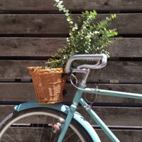 palmgarage (@palmgarage5511) 's Twitter Profile