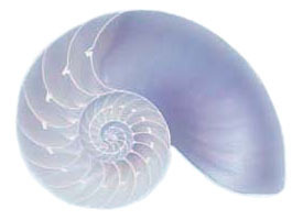 _Balance's profile picture. tailor made body care products for everyone. if you are in the area why not book in for a treatment. just for you.