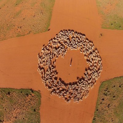 CTF cropper, Sheep producer, husband, father to 2 girls.