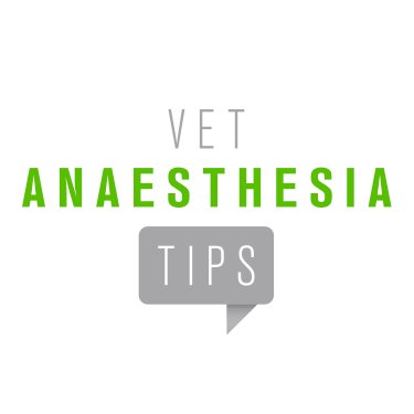 European specialist in veterinary anaesthesia sharing anaesthesia tips and resources for vets and vet nurses