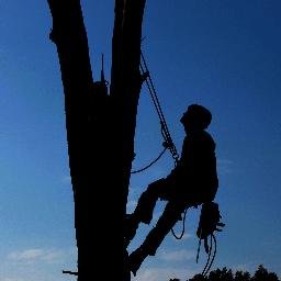 LittleRockTree's profile picture. Little Rock Tree Care
6834 Cantrell Road
Suite #1017-123
Little Rock, AR 72207
(501) 232-2750