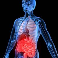Crohn's and Colitis (@crohnsanduc) 's Twitter Profile