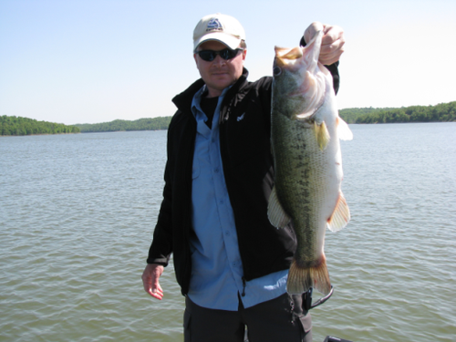 Mighty_Horse's profile picture. 