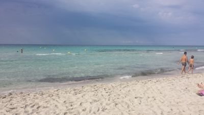 PierVho's profile picture. 