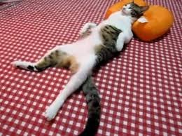 FrancoIcache's profile picture. 