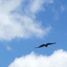 as1543dp5's profile picture. 