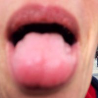 TransCultSlayer (@transcult_slayr) 's Twitter Profile