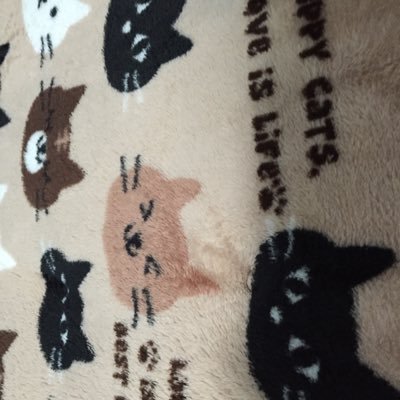 6z7pidy9BF16rSP's profile picture. 