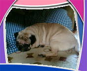 lifranjp's profile picture. Bonjour,Hello,Grussgot,Konnichiwa,Nihao.A French pharmacist I teach French,am a radio/media/Internet freak.Selling trophies to Japan;Je suis francophone !