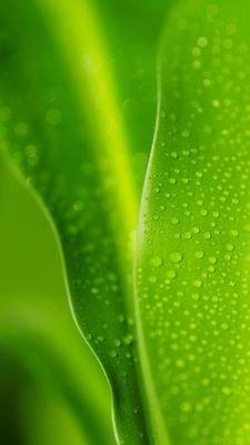 misscrystal364's profile picture. 