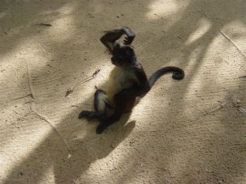 mannixmumbles's profile picture. 