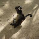 Sara Mannix - @mannixmumbles - Twitter