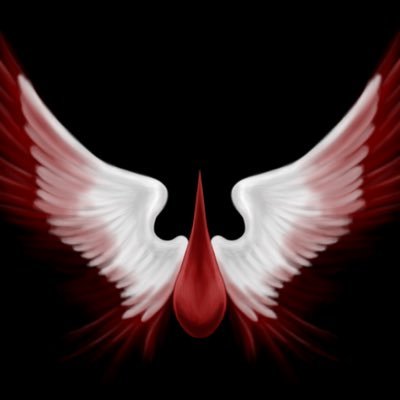 I'm a twitch streamer , I stream destiny, battlefront , Witcher 3, etc. list goes on ... follow me in the link below