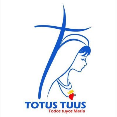 Totus Tuus on Twitter: "Gracias a todos los que estuvieron orando ...