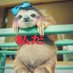 きり猫/霧孤 (@kiri12_13) Twitter profile photo きり猫/霧孤 (@kiri12_13) Twitter profile photo