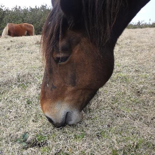 syun_555's profile picture. 熊本県出身。これまで西日本→東日本転々とし、熊本へ戻る。バイカー🏍/乗り鉄/駅＆みどりの窓口巡り/巡った駅の記録は個人の感度/温泉ソムリエ/鉄印帳マイスター(T02-****)/御船印一等航海士/飛行機✈️/くまモン/保持資格まあまあ有りw/福岡→岩国→各務原(岐阜)→岩国→茅ヶ崎(ほぼ藤沢)→