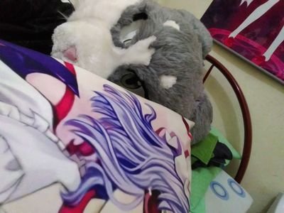 IrvalFirestar's profile picture. Newb IT guy :: 2hu + kigu + furry fan :: feel so: moon :: likes 2hu music, metal, EDM generally, Taishi/HSP specifically