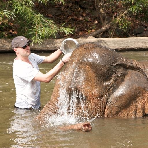 Arnaud Mulpas Profile