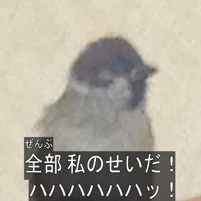 はさまるさんのプロフィール画像