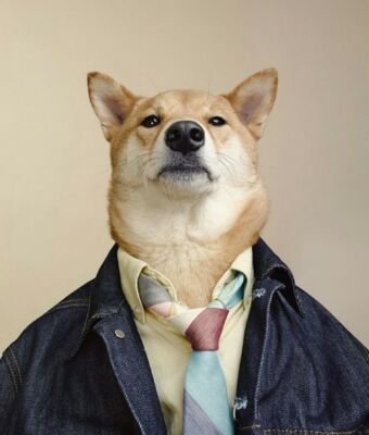 openwrt_no9's profile picture. 