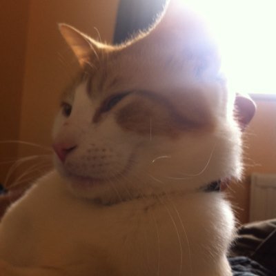 Dan_Smith_esq's profile picture. Just here to read, rarely tweets. Because Twitter is toxic