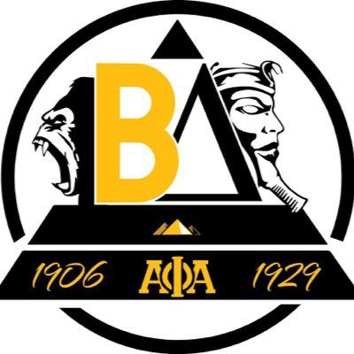 Housed at South Carolina State University. The Oldest and Coldest Chapter of Alpha Phi Alpha in South Carolina | IG: betadeltaalphas
