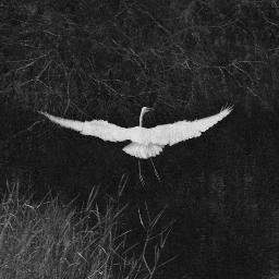 jishuzanmai's profile picture. 