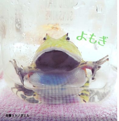 使ってません。さんのプロフィール画像