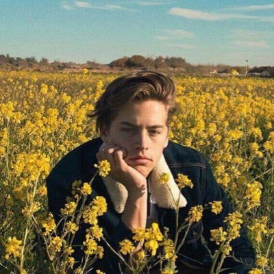 artvaIley's profile picture. A letter to humanity —