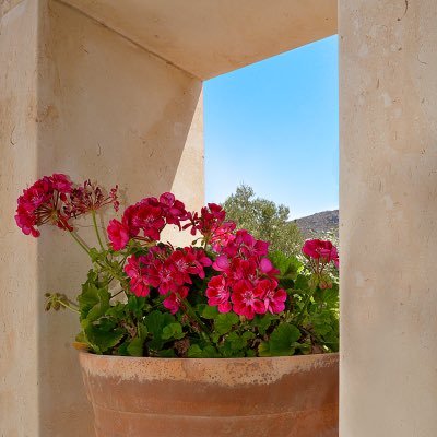 OliveCoastCrete's profile picture. A world of beauty, tradition, authentic hospitality and unsurpassed comfort.
A quiet sanctuary nestled away in Palekastro, close to the Cretan coastline..